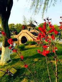 寧波月湖公園｜免費遊千年城市園林，慢品老城煙火