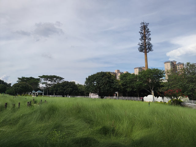 《光影之間，蔚徕的都市綠洲》