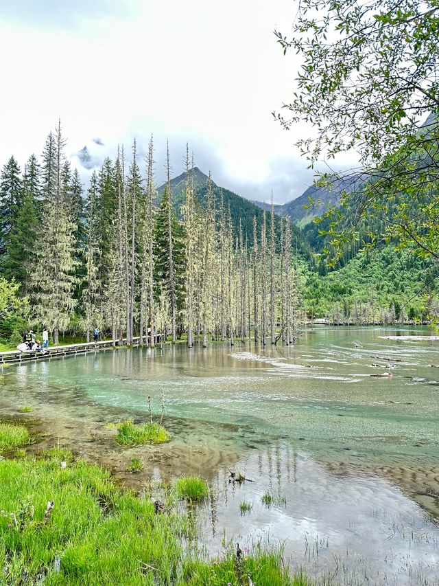 六月份四姑娘山最強攻略，雪山花海一站式全體驗
