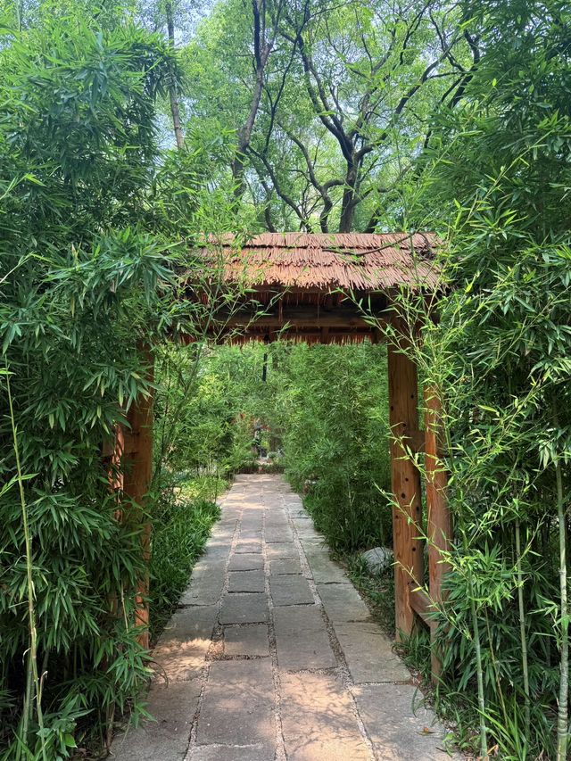 藏在南昌市區的優質酒店
