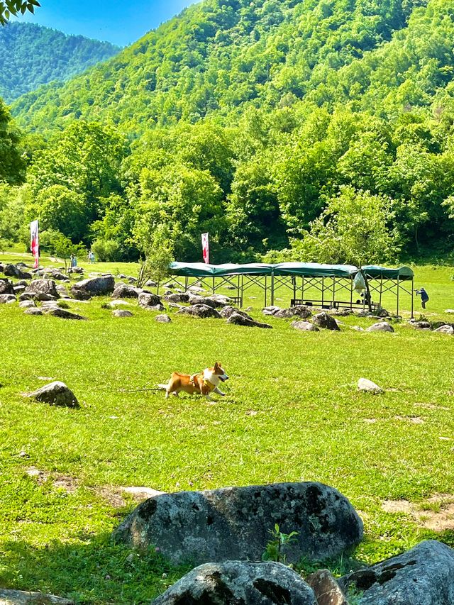 唔去新疆！陝西私藏咗個阿勒泰20℃夏天太正啦！