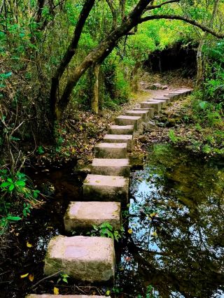 Lychee Village: Exploring Hong Kong's Hidden Gem