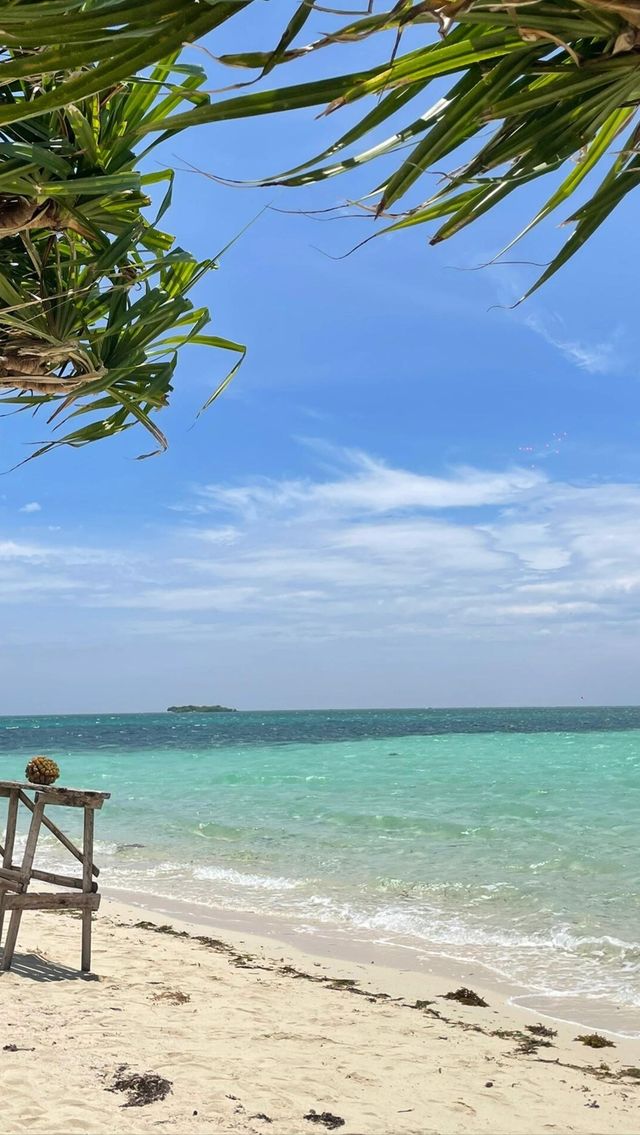 「薄荷島」去咗一次，值回票價真係太靚啦