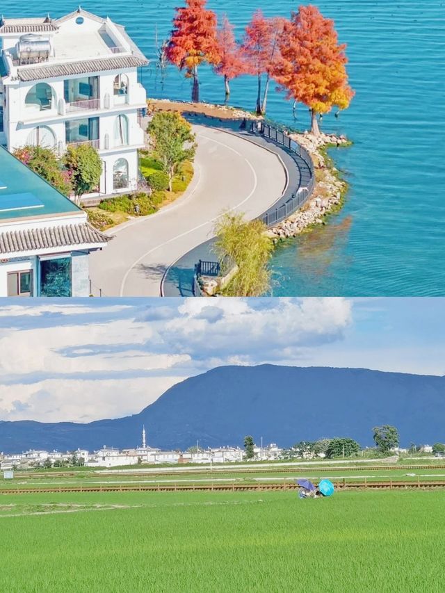 奔赴風花雪月洱海超全遊玩攻略