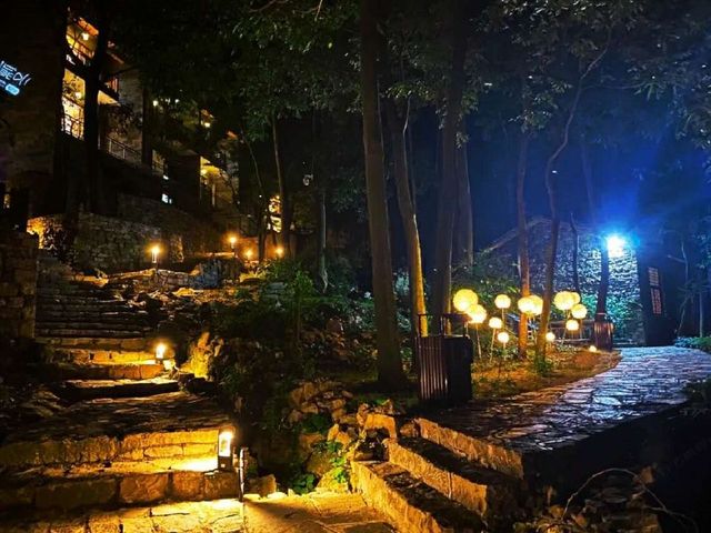 在雲端民宿｜等一場山野的日出與星河 