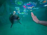 成都極地海洋公園深度漫遊指南｜避開人潮的私房攻略