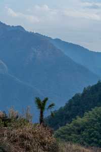 編鐘為引・松陽古村藏着可居住的文化史