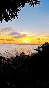 朱家尖：奔赴山海，解鎖東海浪漫