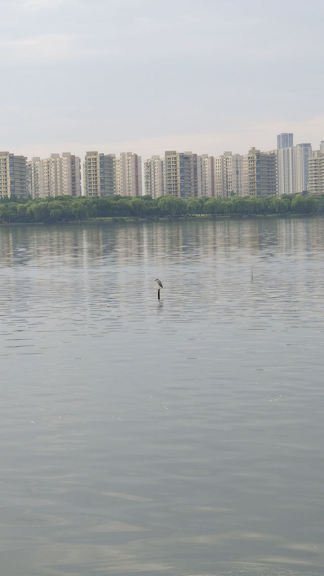 拂曉瓜渚湖，一筆江南韻