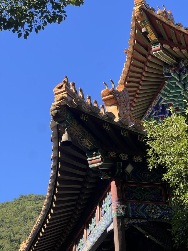 普陀山一日遊•虔誠拜三拜•發財好運被愛