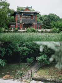攝影｜瀋陽東陵郊野公園嘅夏天