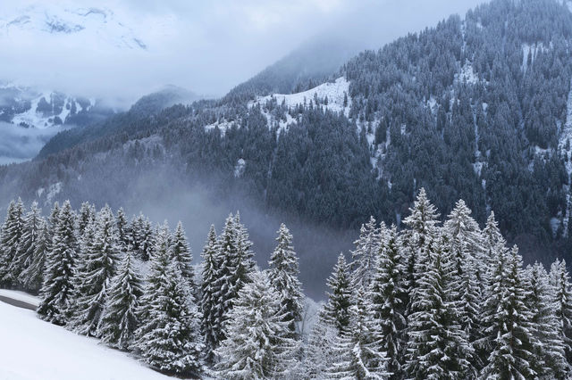 阿爾卑斯山滑雪，大山地度假村攻略