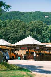 普陀山祈福 入住千年古剎法雨寺旁酒店