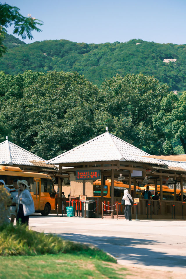普陀山祈福 入住千年古剎法雨寺旁酒店