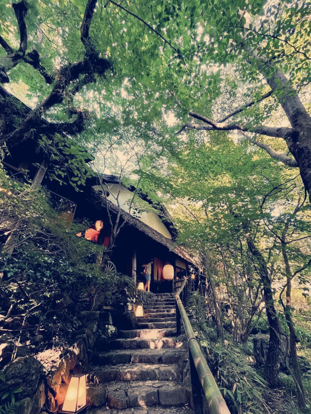 東京隱世秘境！咖啡黑茶屋的極上慢活體驗】**  