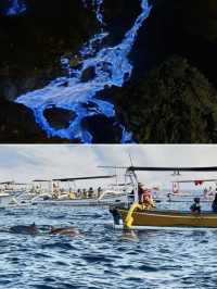 暑假海島體驗！6日5夜攻略