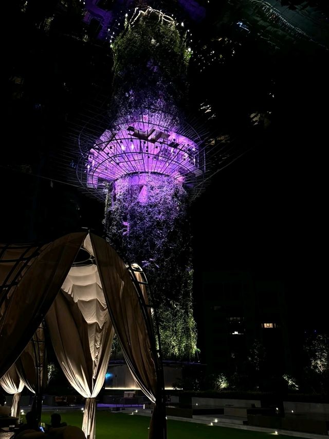 Pan Pacific Orchard in Singapore is Stunning🥰🌸