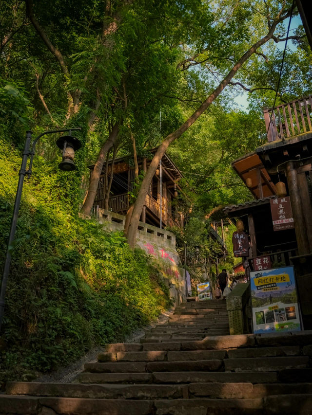 重慶丨黃桷埡citywalk||青石階爬滿苔痕 老黃桷樹撐開濃蔭 吊腳樓懸在雲霧裡——這裡是重慶最後一片“爬坡上坎”的江湖
