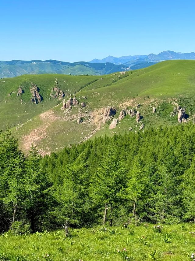 北京3小時直達！20℃抹茶色清涼秘境藏不住了！