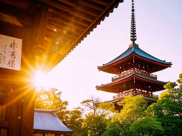 東京淺草寺｜穿越千年的江戶風情，尋覓東瀛最靈驗的祈福聖地】**  