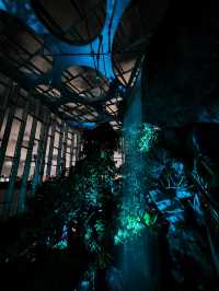 勇闖上海溫室花園夜遊，像阿凡達一樣在雨林探險