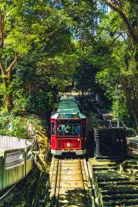 2025最新Disney香港夏日活動全攻略（360+山頂）