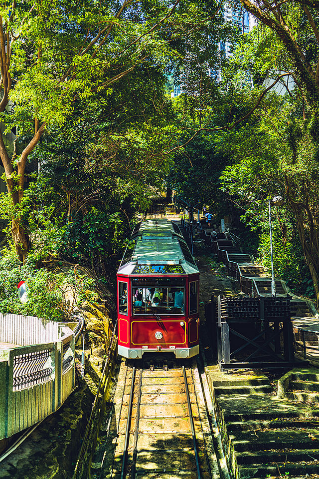 2025最新Disney香港夏日活動全攻略（360+山頂）