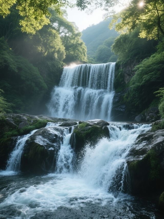 救命！莫干山呢8個隱藏玩法先係神仙體驗