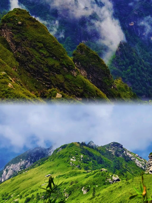 根本抗拒唔到夏天嘅鹿角梁,實在太靚啦 根本抗拒唔到夏天嘅鹿角梁,實在太靚啦