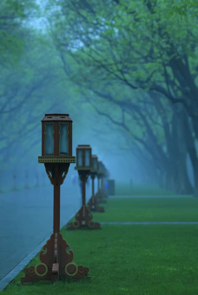 雨後獨享天壇秘境