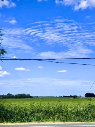 Feihe Ranch | A Pure Pastoral Song on the Grasslands