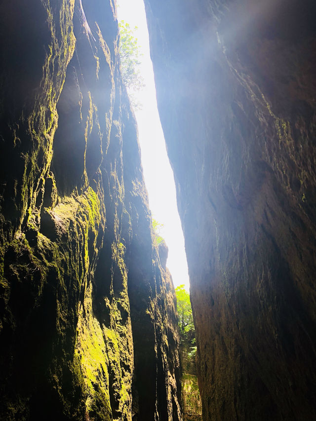 勇闖黃山3日精華遊 勇闖黃山3日精華遊