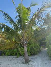 A Memorable and Peaceful Island Retreat