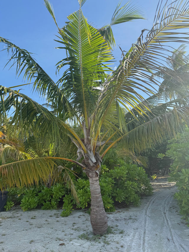 A Memorable and Peaceful Island Retreat