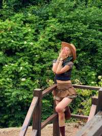 不用去京都了！！本溪庭院民宿……真的太美了