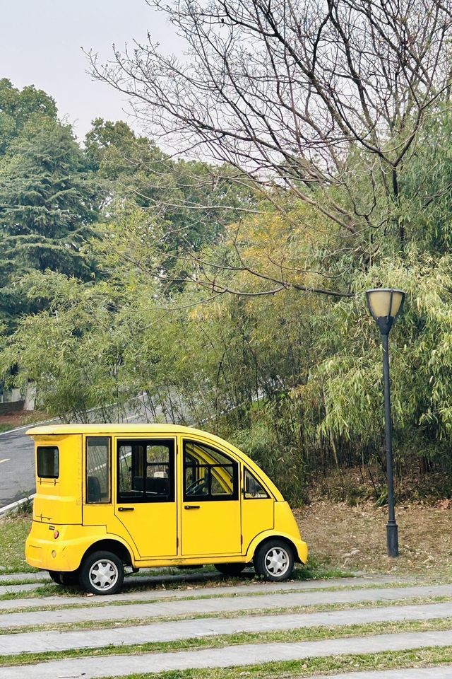 🎡 New Family-Friendly Fun in Wuhan!  Check Out Tanghu Park