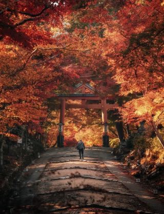 Guide to the Best Viewing Periods for Japan's Top 3 Autumn Foliage Regions
