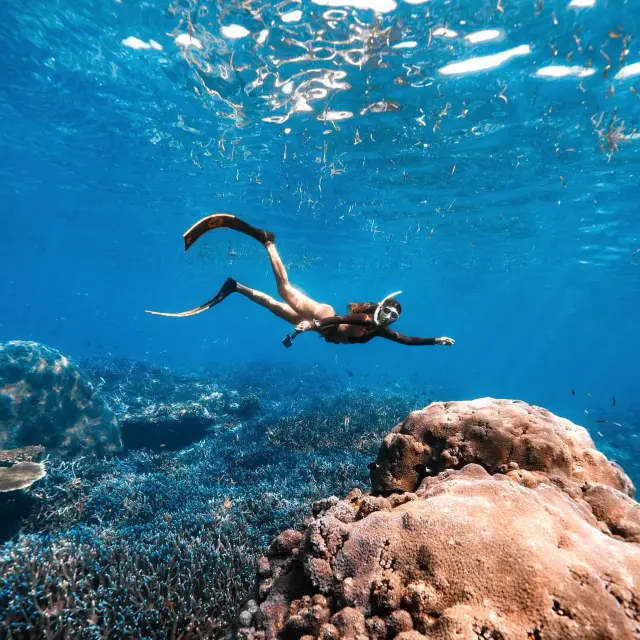 A must-visit spot for diving enthusiasts in Bali 🌊 Tulamben Dive