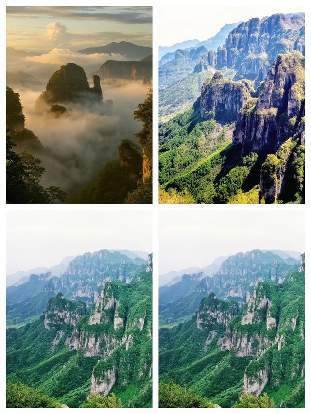 在王莽嶺 邂逅一場雲端的浪漫