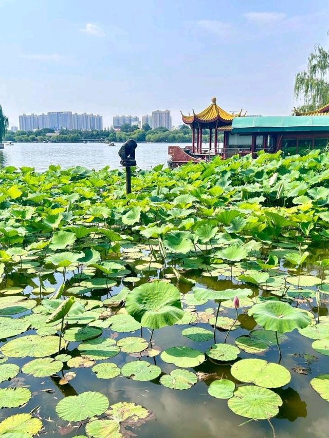 濟南最全面行程攻略推薦📍 濟南最全面行程攻略推薦📍