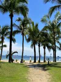 海陵島晴天真係靚到心動！Live圖先見真章🏝️