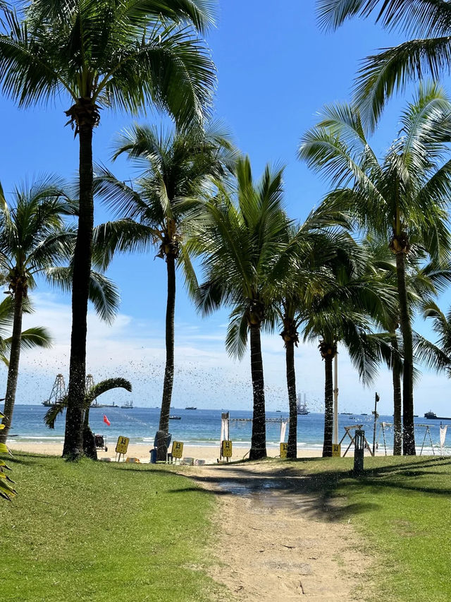 海陵島晴天真係靚到心動！Live圖先見真章🏝️