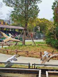 上海野生動物園遊玩多長