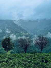 國慶反向旅遊攻略西安出發3天玩轉漢江雲霧仙境,人少景美絕