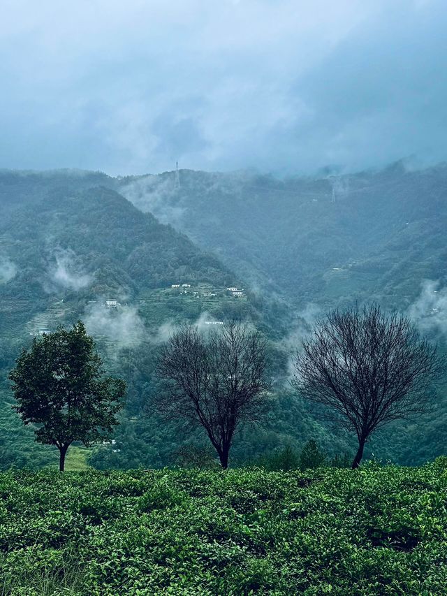 國慶反向旅遊攻略西安出發3天玩轉漢江雲霧仙境,人少景美絕 國慶反向旅遊攻略西安出發3天玩轉漢江雲霧仙境,人少景美絕