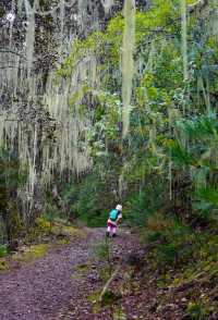 香格里拉尼丁森林|國慶真沒人!帶5歲娃徒步雲南魔幻森林