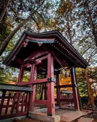 日本九州秘境｜宇佐神宮·三角池的千年神蹟