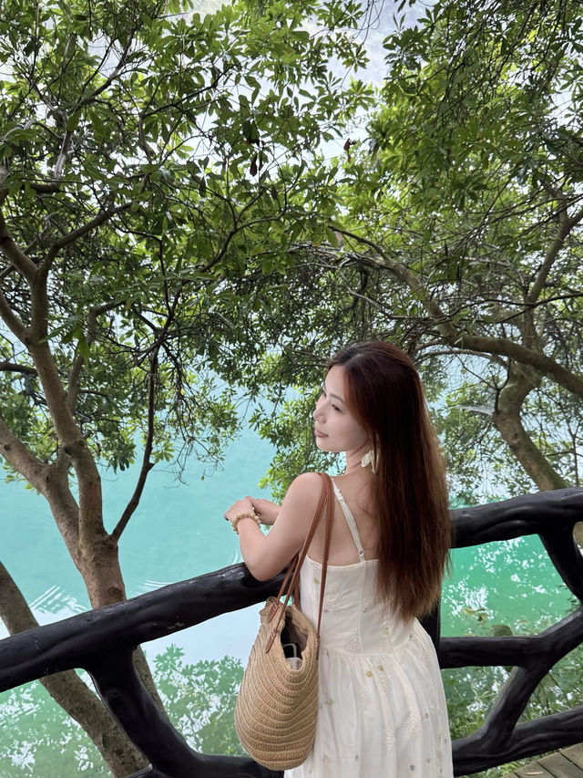 霧漫小東江已回！！不愧是國家地理都讚的人間仙境