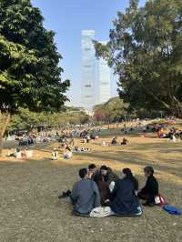 🌿 蓮花山公園 × 深業上城 × 筆架山｜搭捷運就能抵達的城市綠洲