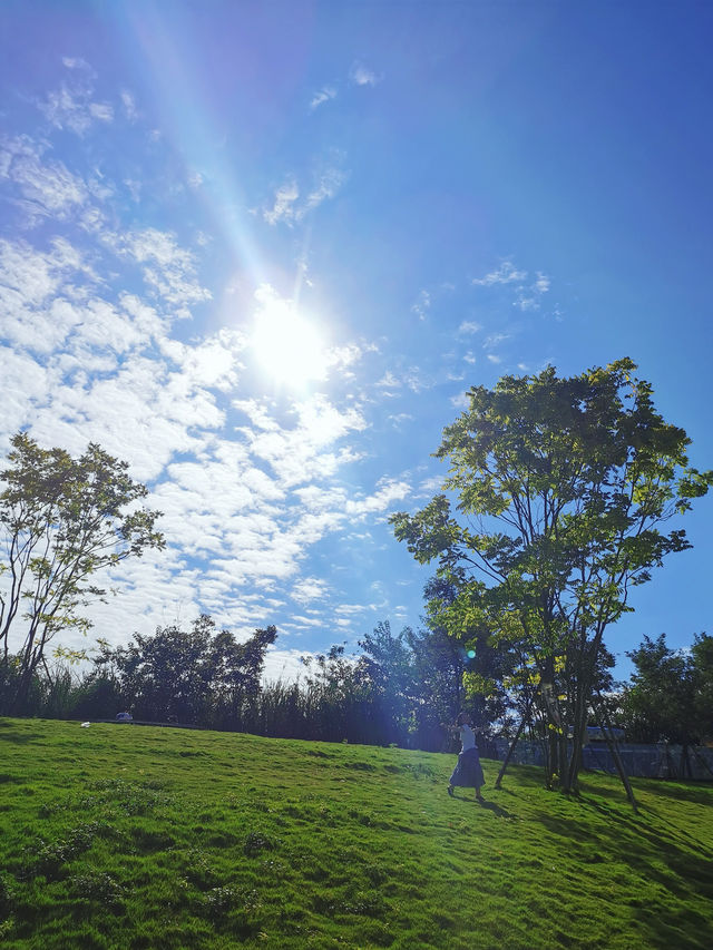 溫江魯家灘村糖會｜溜娃約會的寶藏寶地